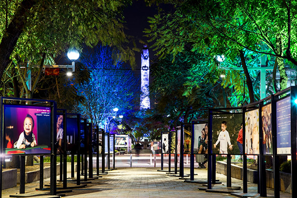 Paseo Chapultepec, la zona más viva y trendy de Guadalajara.